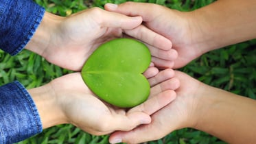 How CSR transforms companies into sustainable leaders