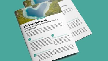 Download het SDG stappenplan voor bedrijven