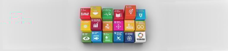 SDG roadmap