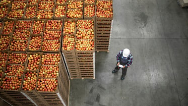 Hoe krijgen we grip op voedselverspilling?