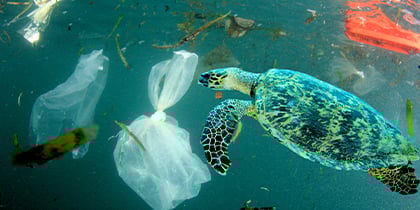 Plastic Free July: alles wat je moet weten over de plasticsoep