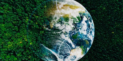 Zo ziet een volledig circulaire wereld eruit  | Lees meer over Milgro | blog van Milgro