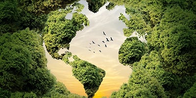 Ik stop met praten over duurzaamheid. Ik heb een beter idee  | Lees meer over Milgro | blog van Milgro