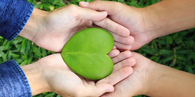 Green Deals in Nederland en België   | Lees meer over Milgro | blog van Milgro