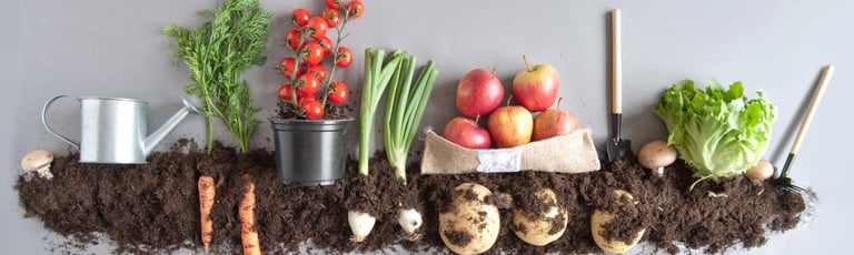 Food for Food: how food waste streams get a second life