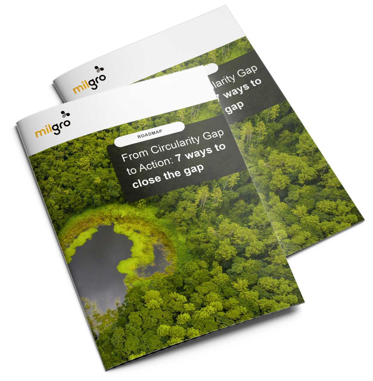 mockup-stappenplan - ENG