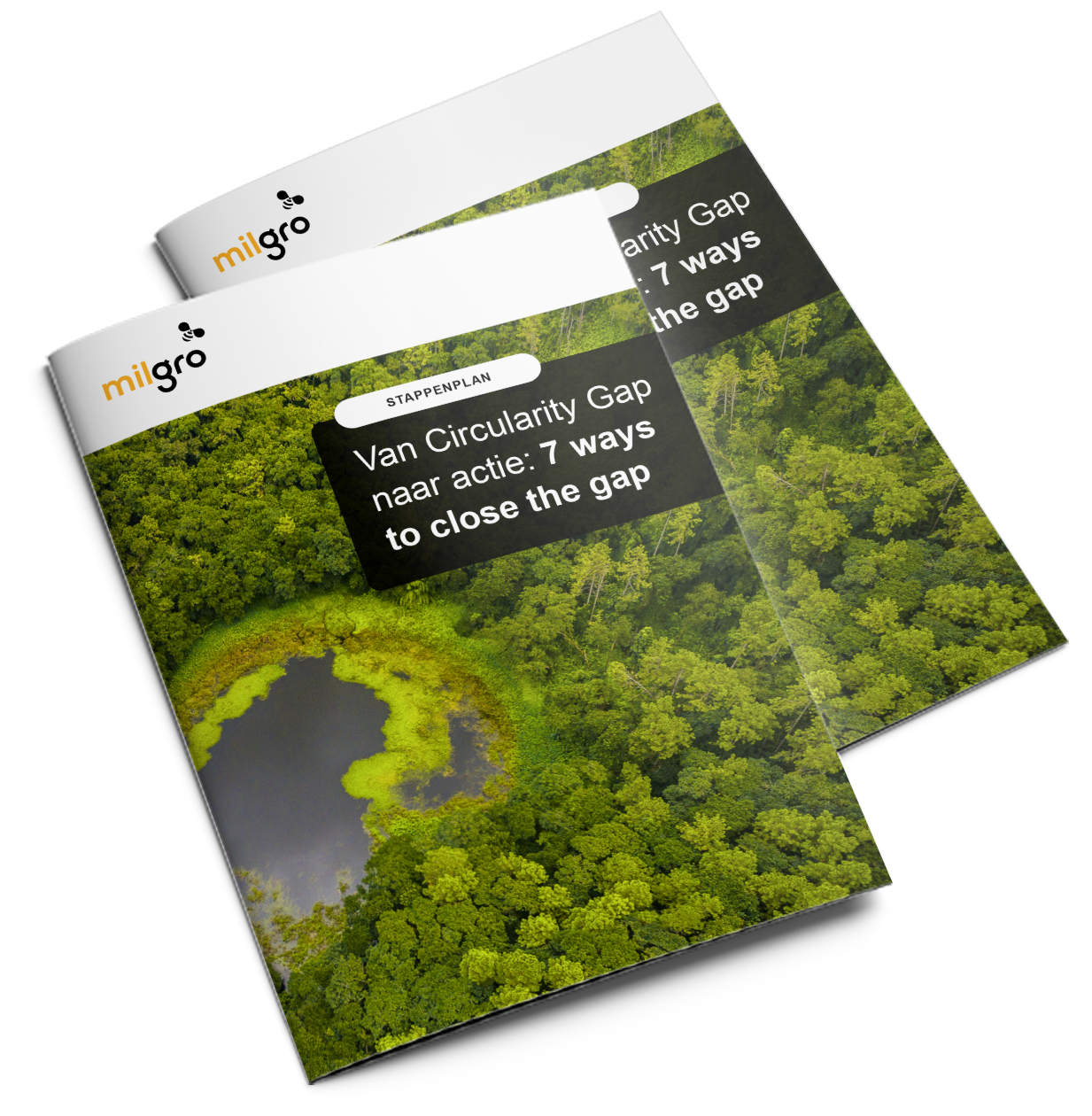 mockup-stappenplan