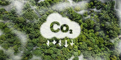 Zero waste week resulteert in CO2 besparingspotentieel door beter scheiden