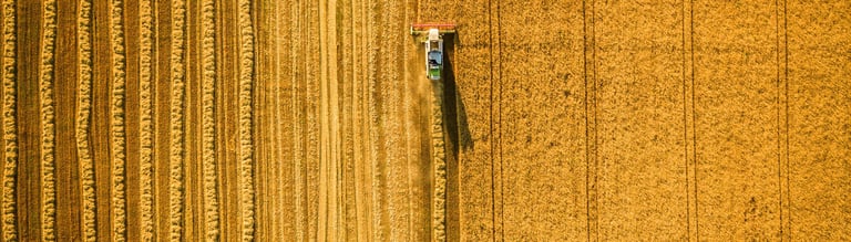 Waarom stopt derogatie in 2026 en wat betekent dat?
