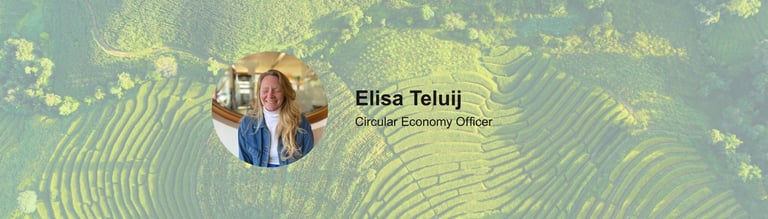 Auteurspagina Elisa Teluij