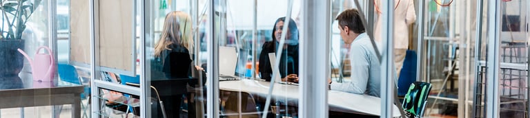 Sustainable Consultancy: advies op maat of een standaard mogelijkheid?