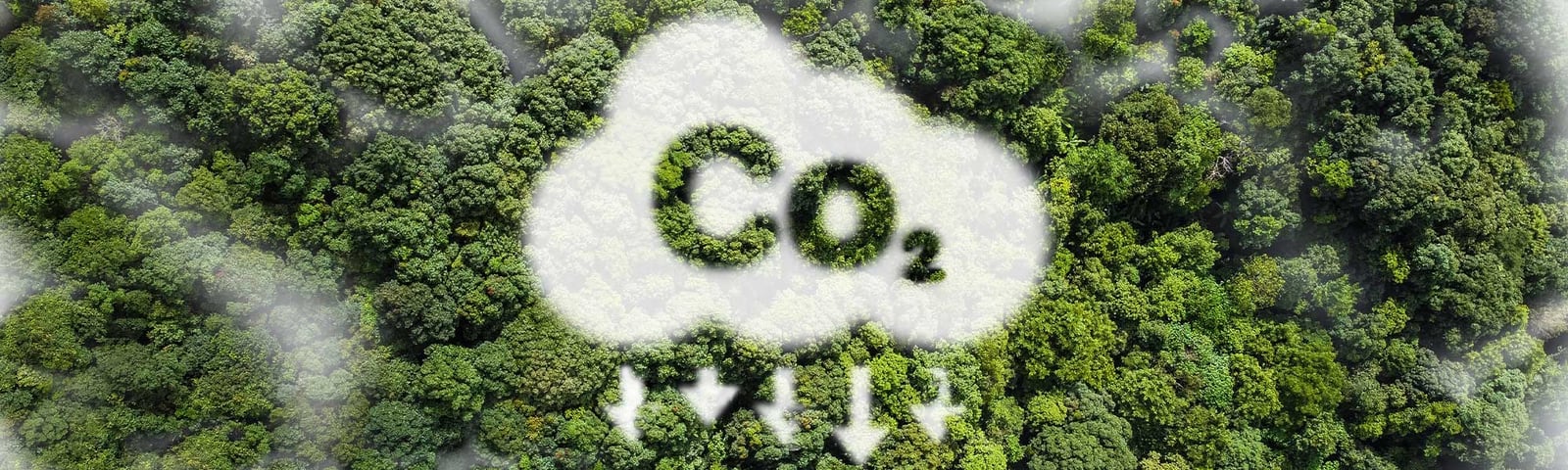 CO2-Prestatieladder 4.0: wat verandert er en waarom nu beginnen slim is