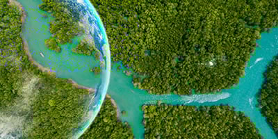 Hoe gaan we van een lineaire naar een circulaire economie?  | Lees meer over | blog van Milgro