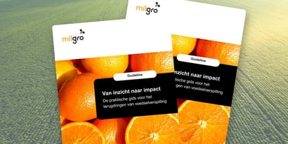 Guideline: Van inzicht naar impact