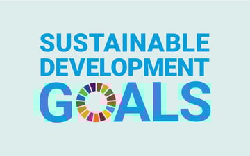 SDG 12 uitgelegd: verantwoorde consumptie en productie  | insights | blog van Milgro