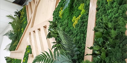 kantoorplanten- milgro