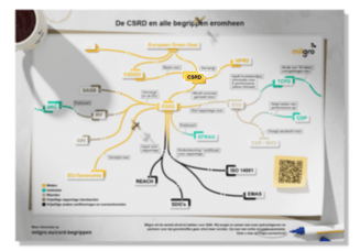 Infographic-csrd-mockup