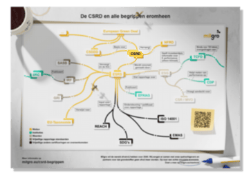 Infographic-csrd-mockup