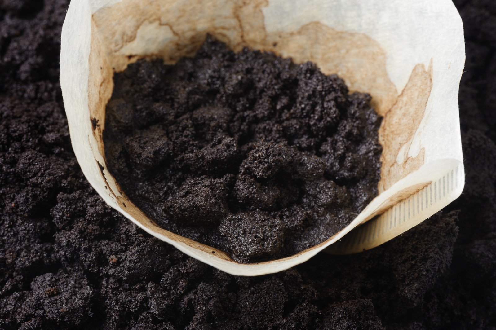 Week Without Waste: the solutions for coffee grounds | #ZeroWasteChallenge Milgro