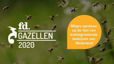 Milgro is FD gazelle 2020