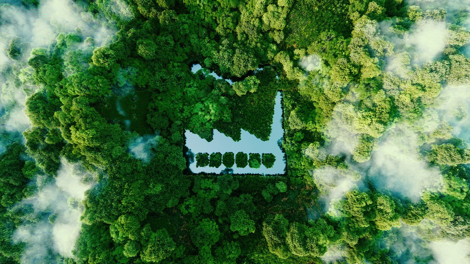 What is B Corp and why is it relevant to businesses?