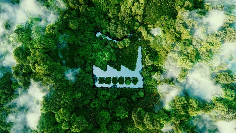 What is B Corp and why is it relevant to businesses?