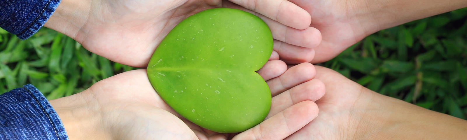 Sociale innovatie en de circulaire economie