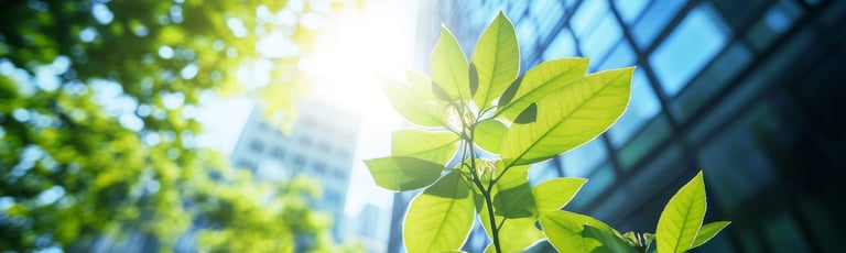 Wat is de nieuwe economie?