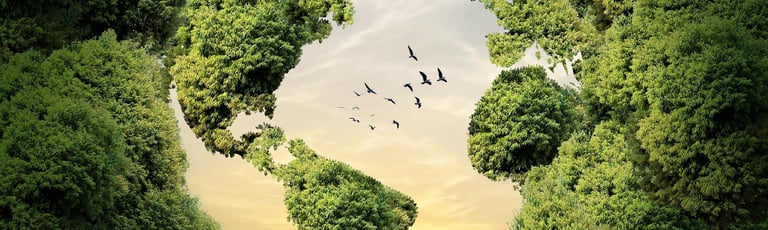 circulaire economie