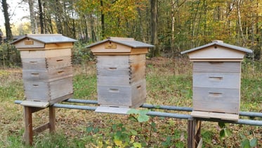 De bijdrage van de bij aan de biodiversiteit