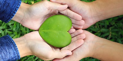 Sociale innovatie en de circulaire economie  | Insights | blog van Milgro