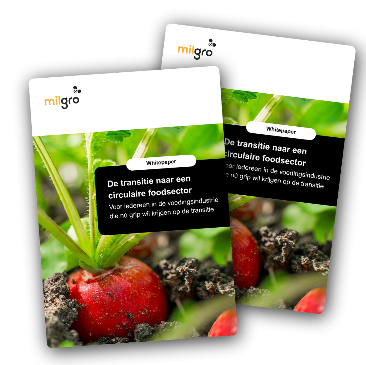 whitepaper-circulaire-foodsector-mockup-transparant_1