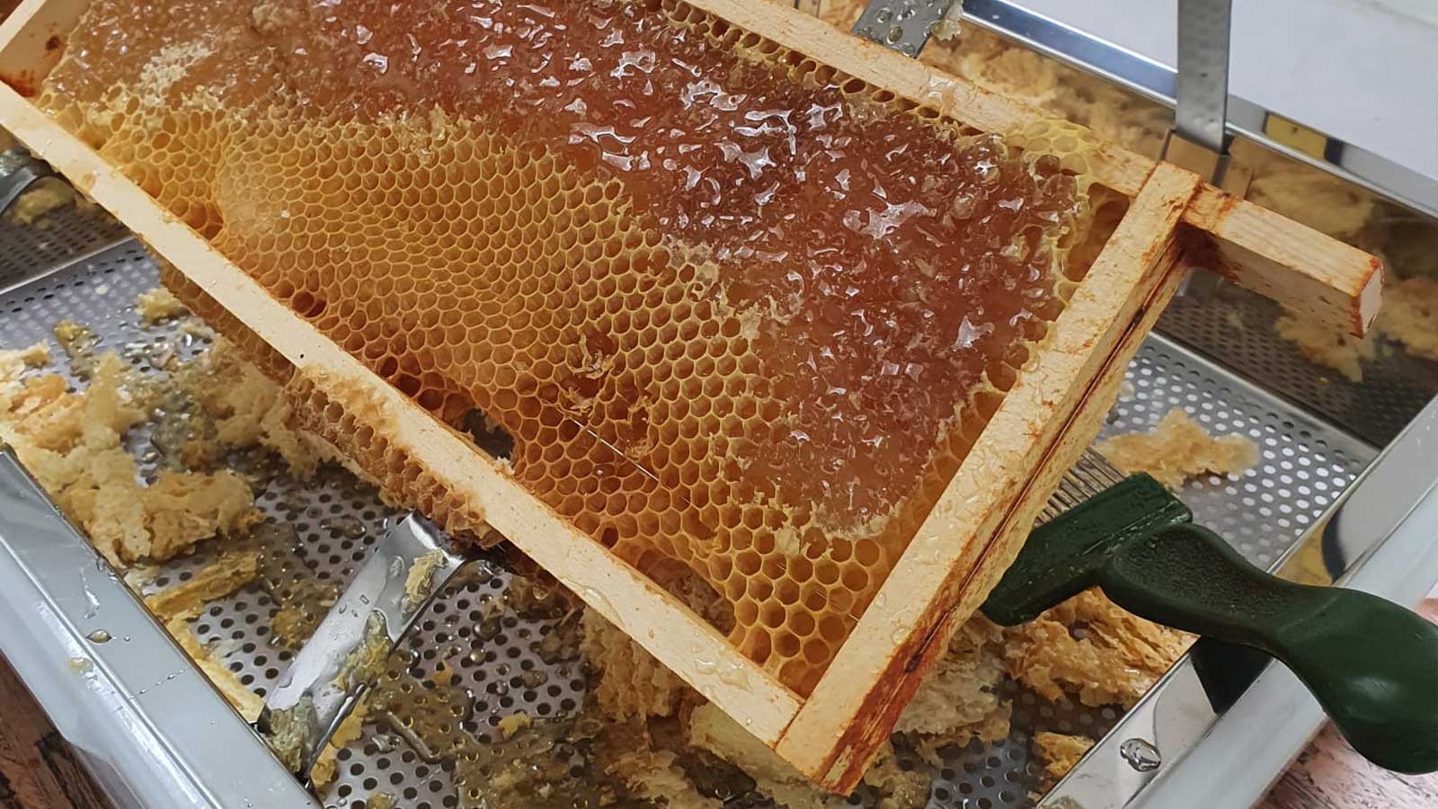 De honingopbrengst uit de Milgro bijenkast