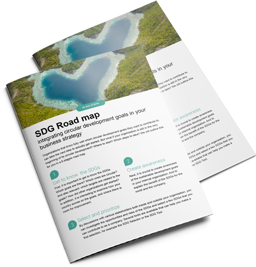 Download the SDG roadmap for businesses