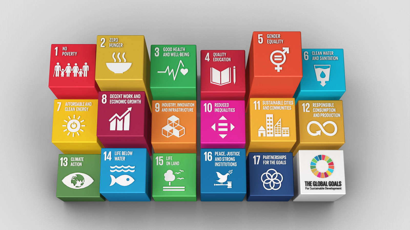 SDG stappenplan