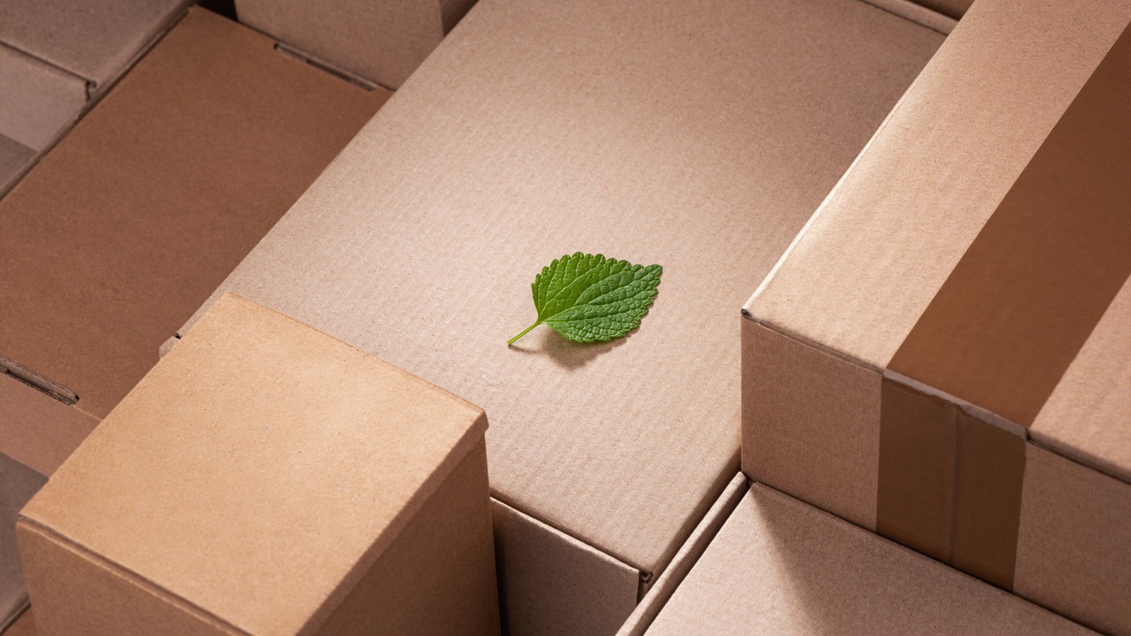 Design for recycling criteria verpakkingen