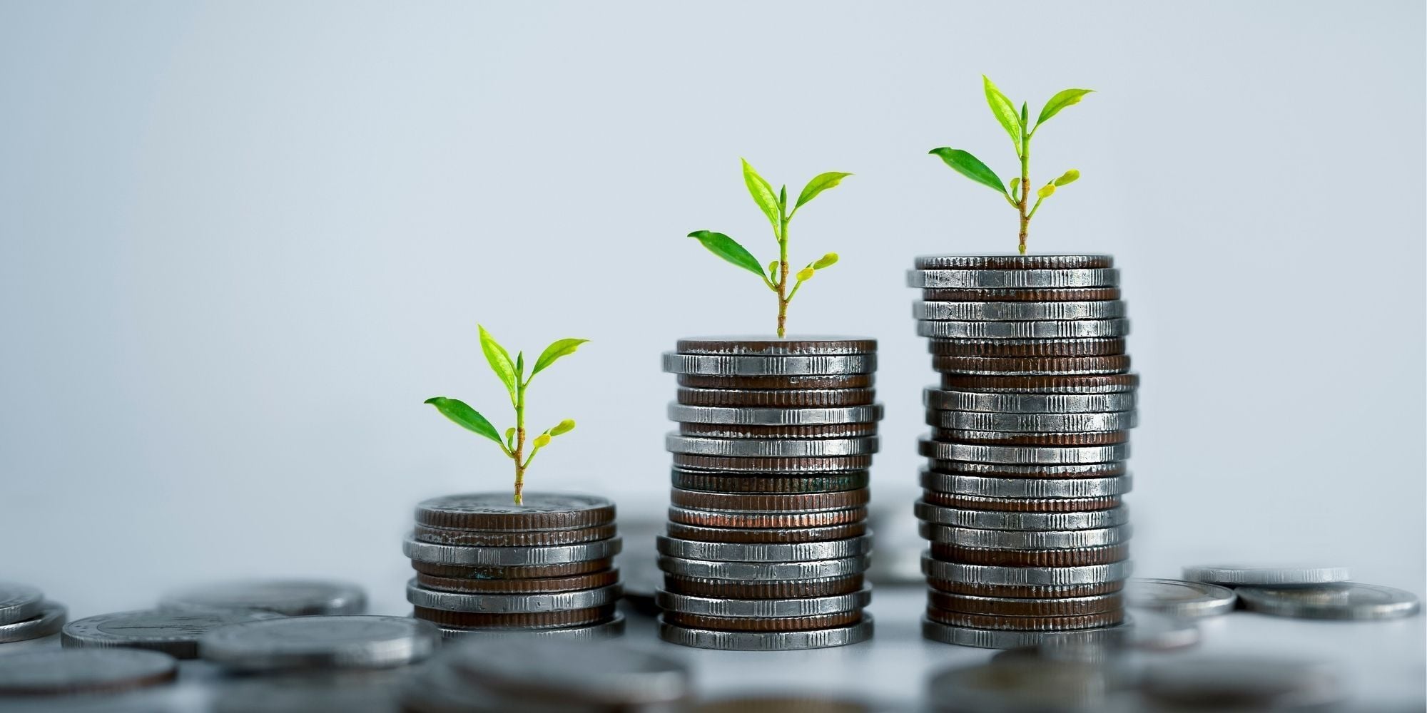 Munten met een groen plantje als symbool voor economische waarde en circulaire groei