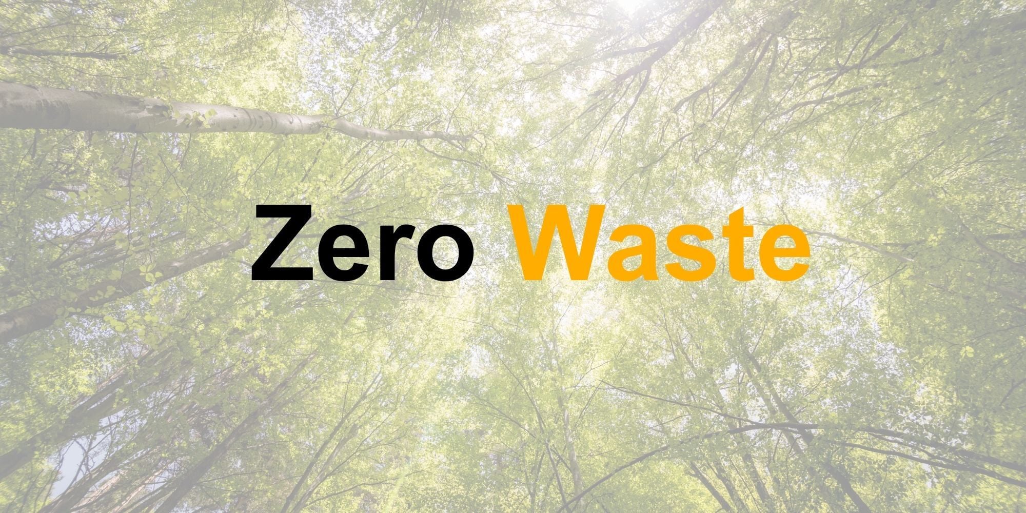 Zero Waste concept: een groene bosaanpak voor duurzaam afvalmanagement