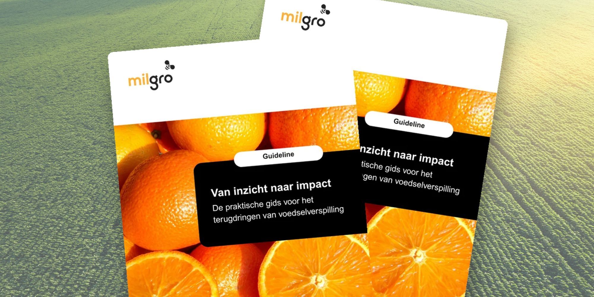 Guideline: Van inzicht naar impact