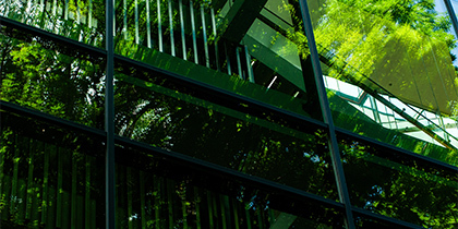 Green Claims Directive: Europese wet tegen Greenwashing uitgelegd